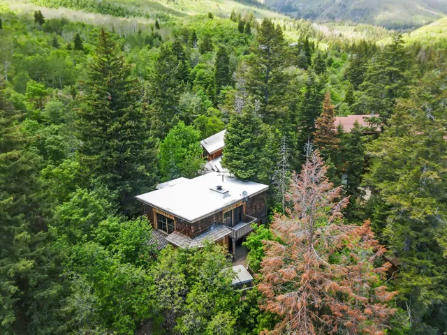 Wood-sided residence surrounded by dense forest, featuring a flat roofline and multiple levels