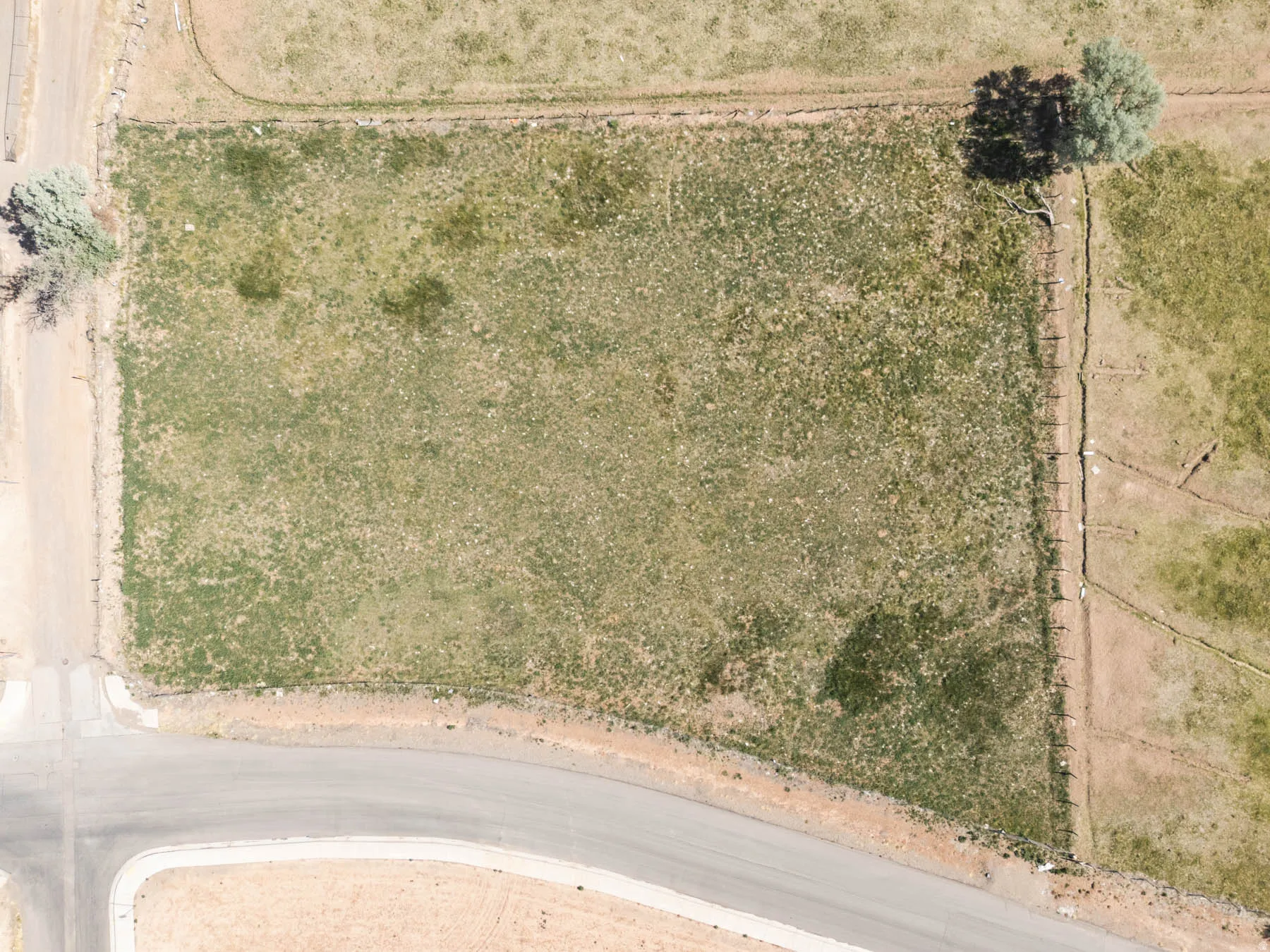 Expansive undeveloped lot featuring natural groundcover