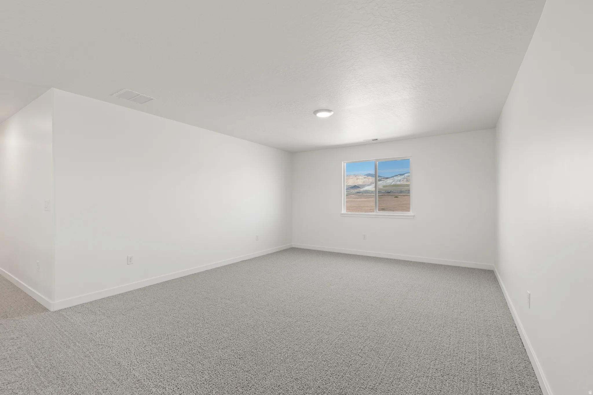 Spacious room featuring light gray carpeting, white painted walls, and a large window showcasing a mountainous landscape