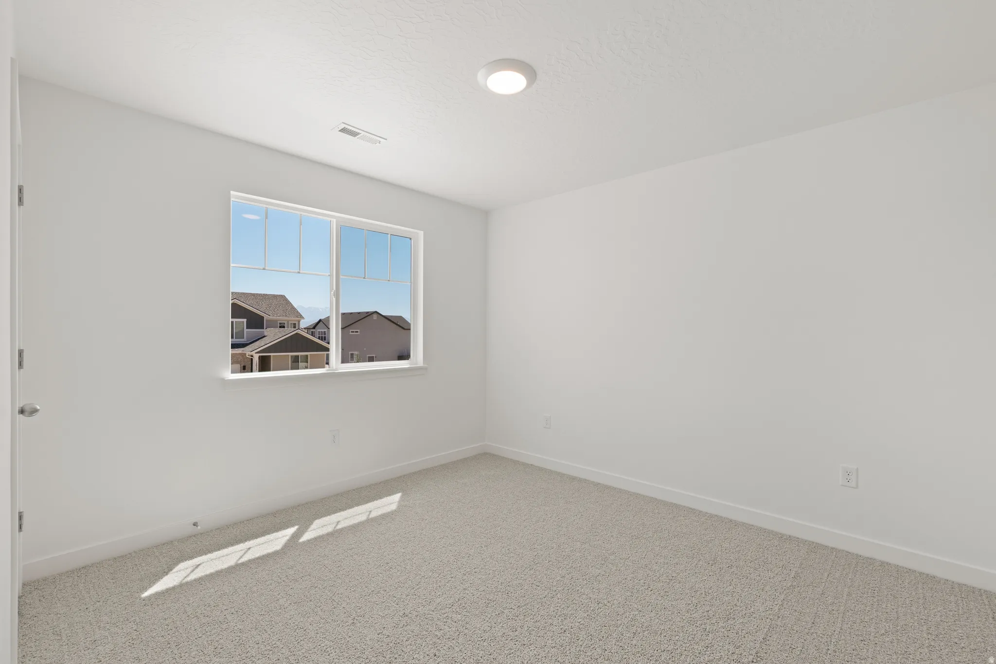 Bright interior room featuring neutral-toned carpet, a double-paned window, white trim, and a ceiling-mounted light fixture