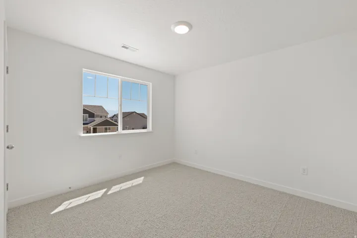 Bright interior room featuring neutral-toned carpet, a double-paned window, white trim, and a ceiling-mounted light fixture