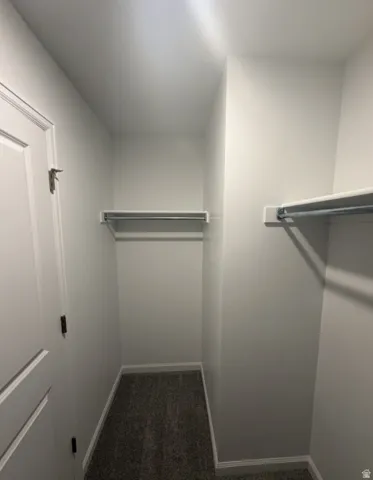 Built-in shelving, hanging rods, carpet flooring, solid core door, and neutral wall paint