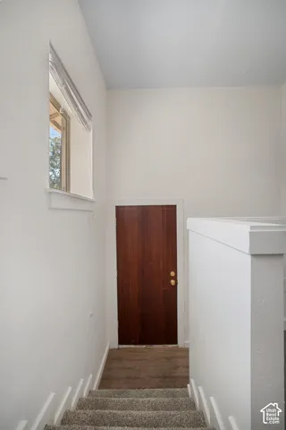 Carpeted staircase with white risers leading to a wood-finish door with brass hardware