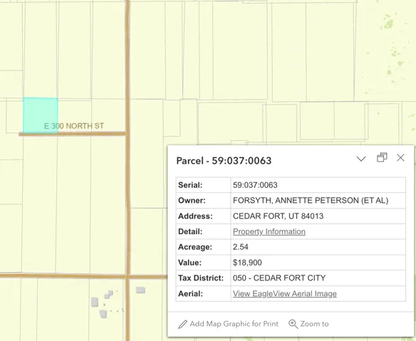 Property Parcel Information. Displaying property identification, ownership details, and assessed value