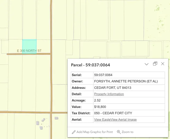 Parcel Information Window. Displaying owner details, property address, acreage, and assessed value for the property