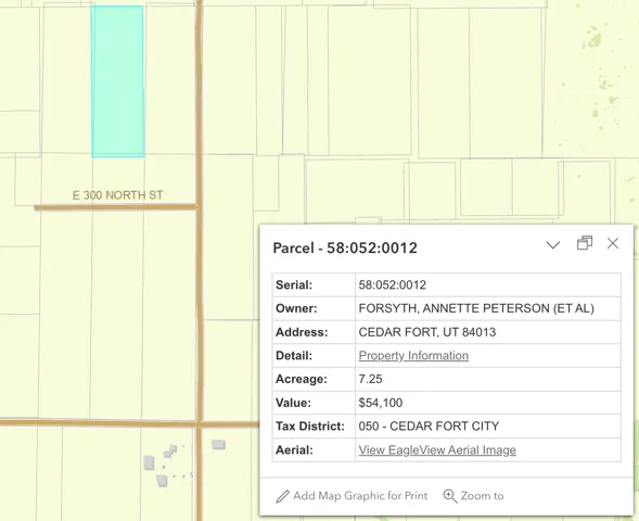 Property Parcel Information. Displaying a specific parcel's owner, address, acreage, and valuation data