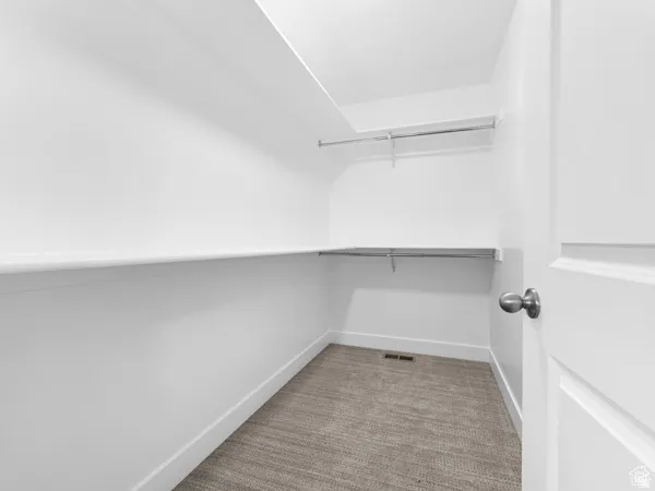 Walk-in closet with carpet flooring, white walls, and built-in shelving