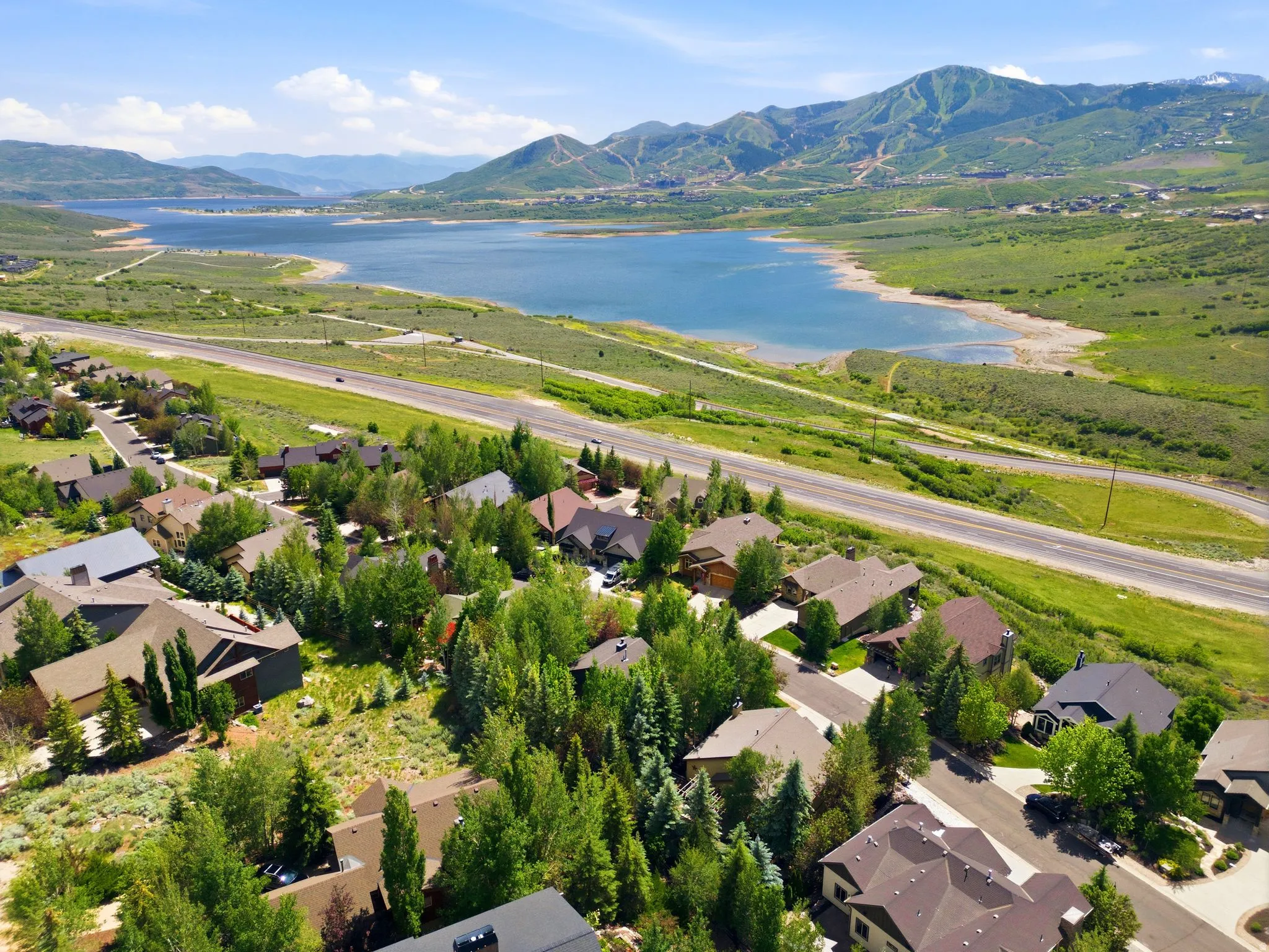 Aerial perspective showcasing a residential community with varied architectural styles, surrounded by lush greenery and mature trees