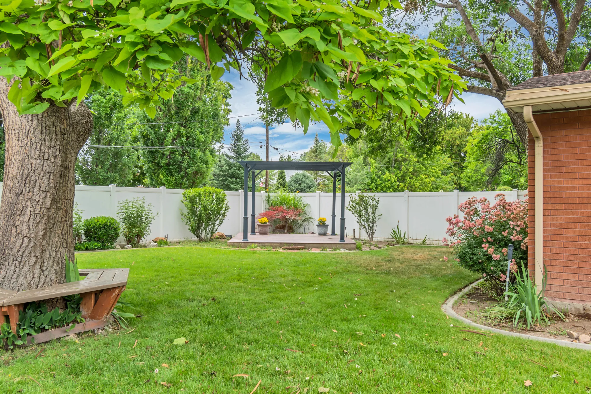 Mature trees with pergola