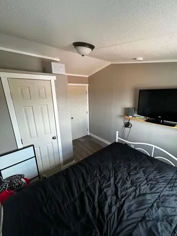 Interior space featuring wood-finish flooring, two panel doors, and a ceiling-mounted light fixture