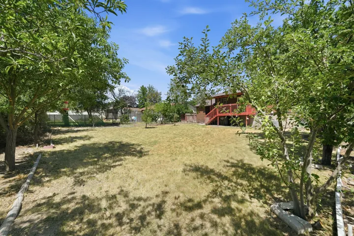 Spacious backyard featuring a large lawn area and mature trees