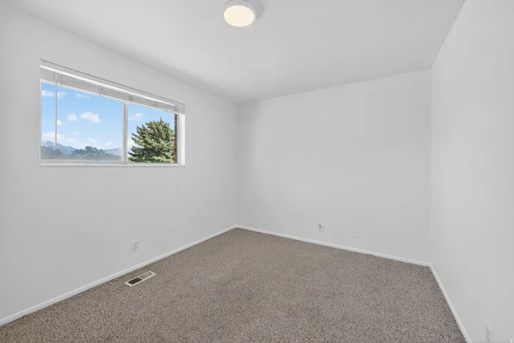 Neutral wall finishes, carpet flooring, base molding, ceiling-mounted light fixture, and window with exterior scenery