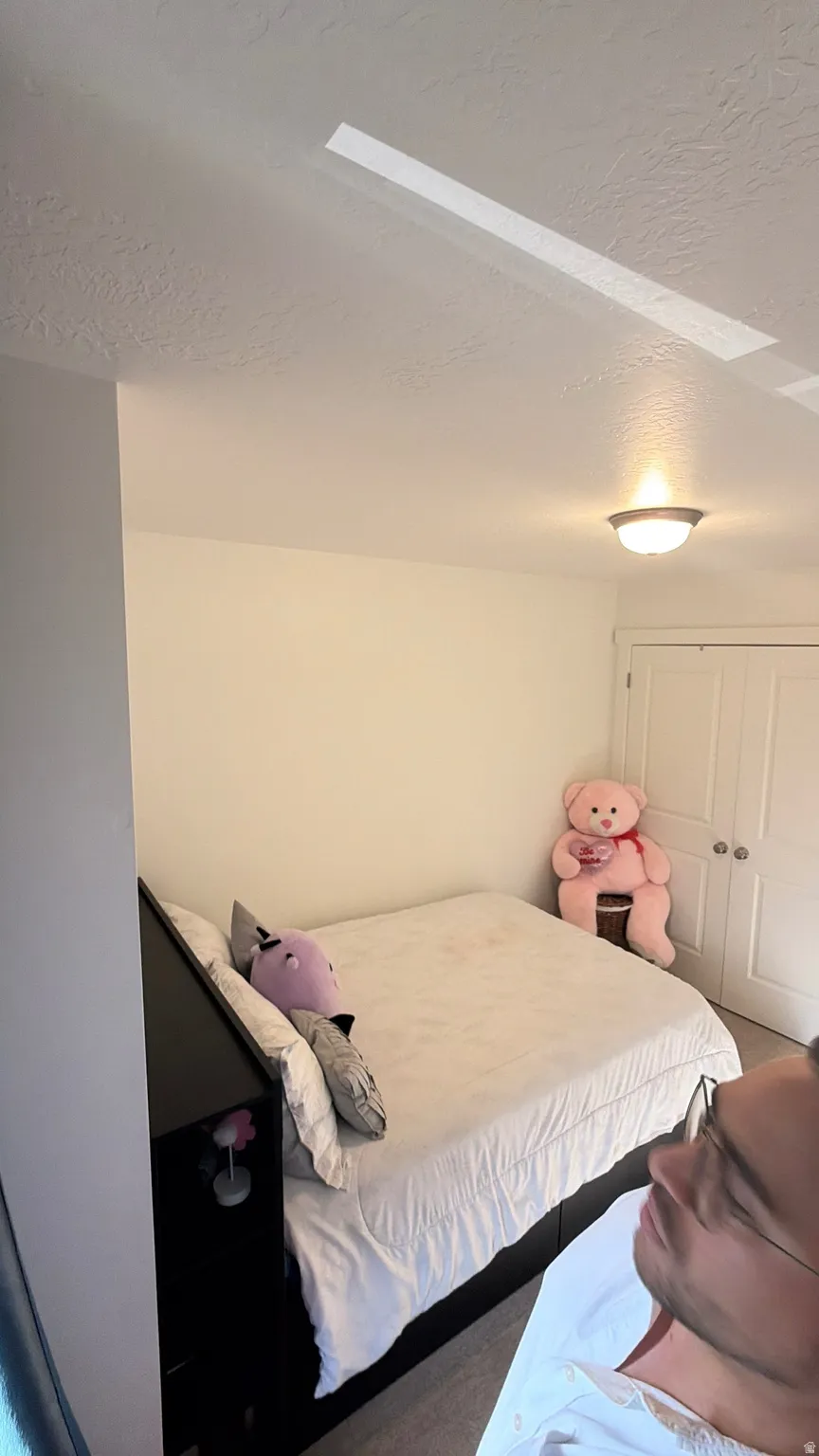 Neutral wall paint, ceiling-mounted light fixture, and wood-finish flooring