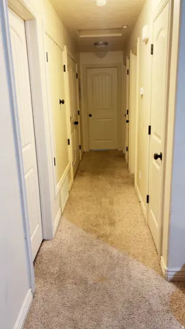 Hallway with light-colored carpeting, white paneled doors, and ceiling-mounted light fixture