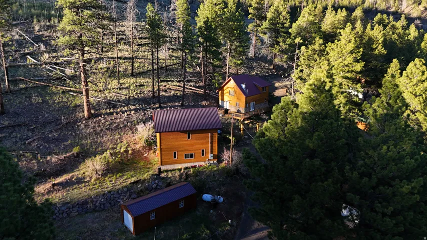 Wood-sided properties nestled into a natural, tree-filled landscape