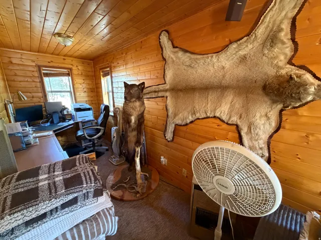 Room with wood-panel walls, wood-panel ceiling, and a ceiling-mounted light fixture