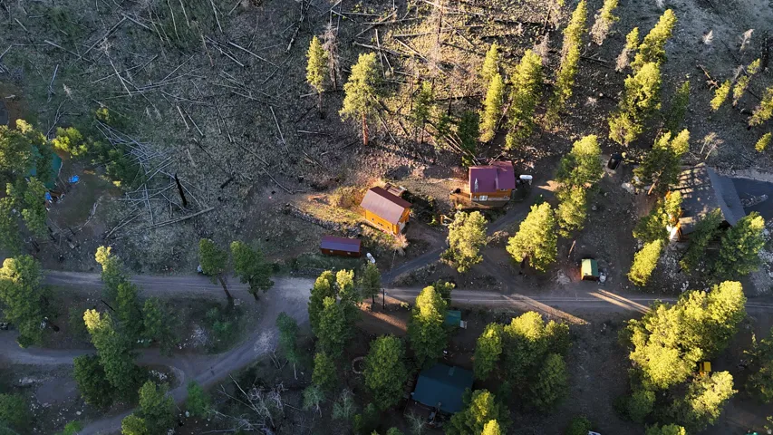Aerial perspective showcasing multiple cabin-style structures nestled within a wooded environment