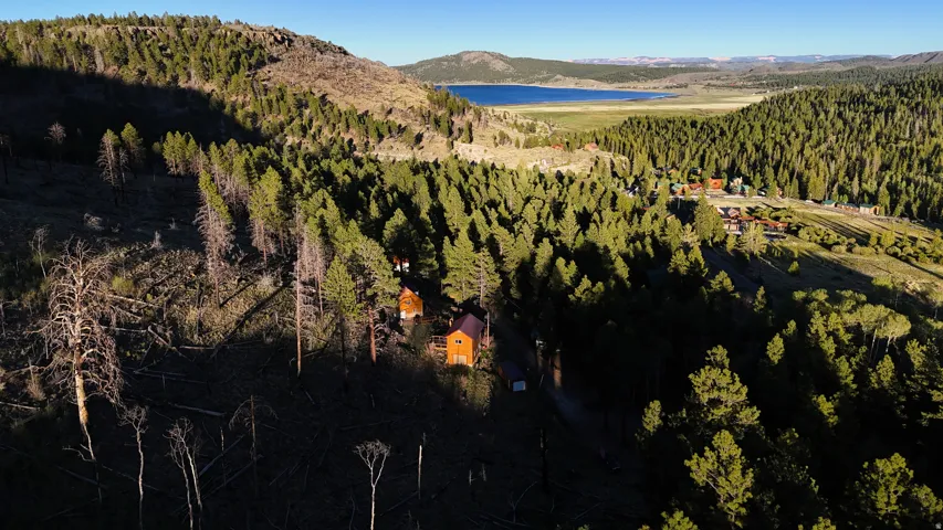 Mountainous landscape featuring extensive evergreen forests, a serene lake, and distant foothills