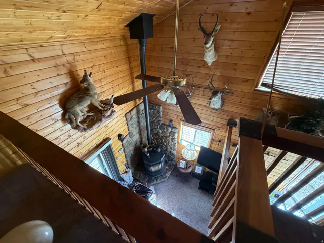 Vaulted wood-paneled ceiling with a central ceiling fan