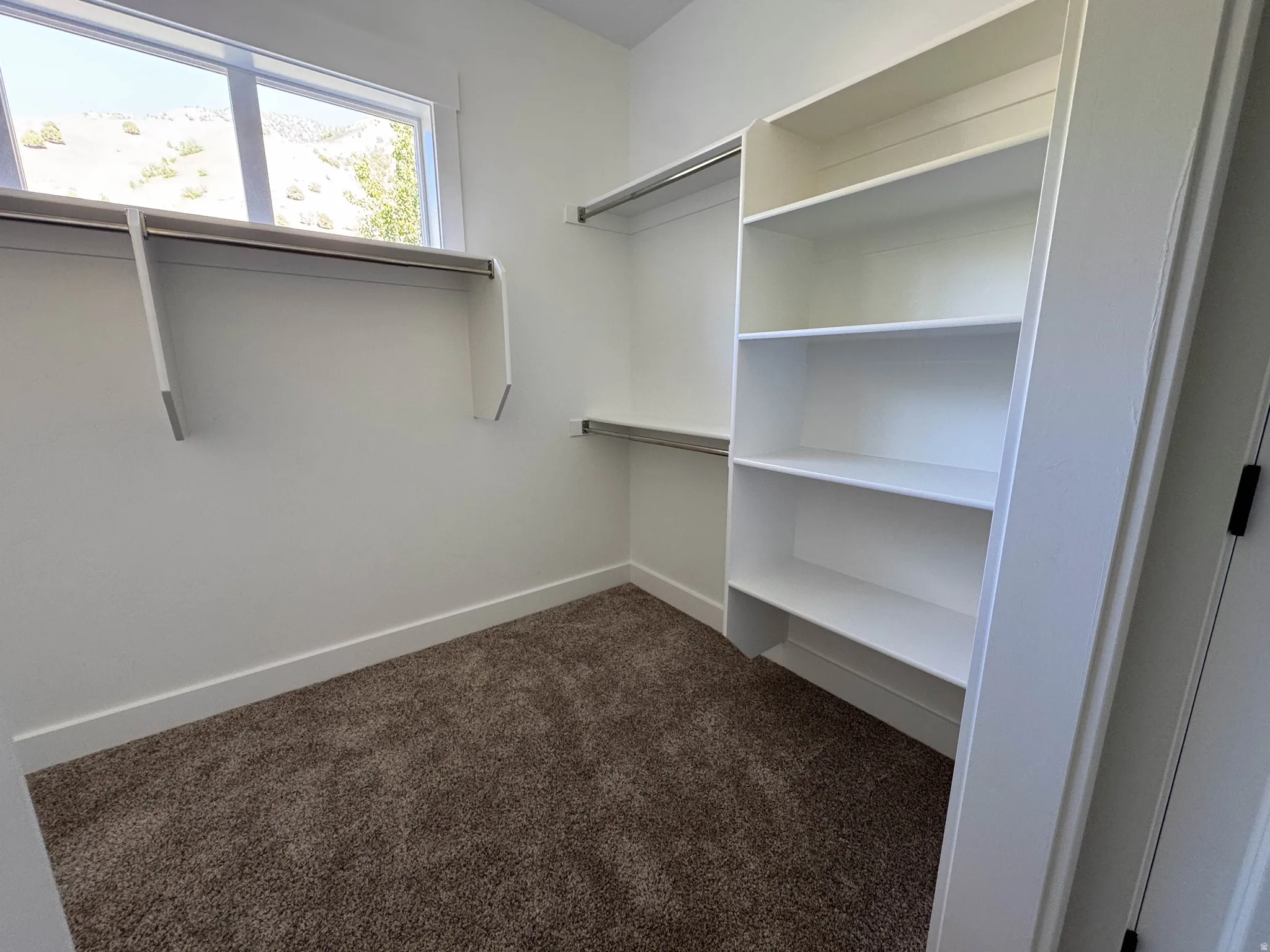 Spacious closet featuring built-in shelving, hanging rods, and a window for natural illumination