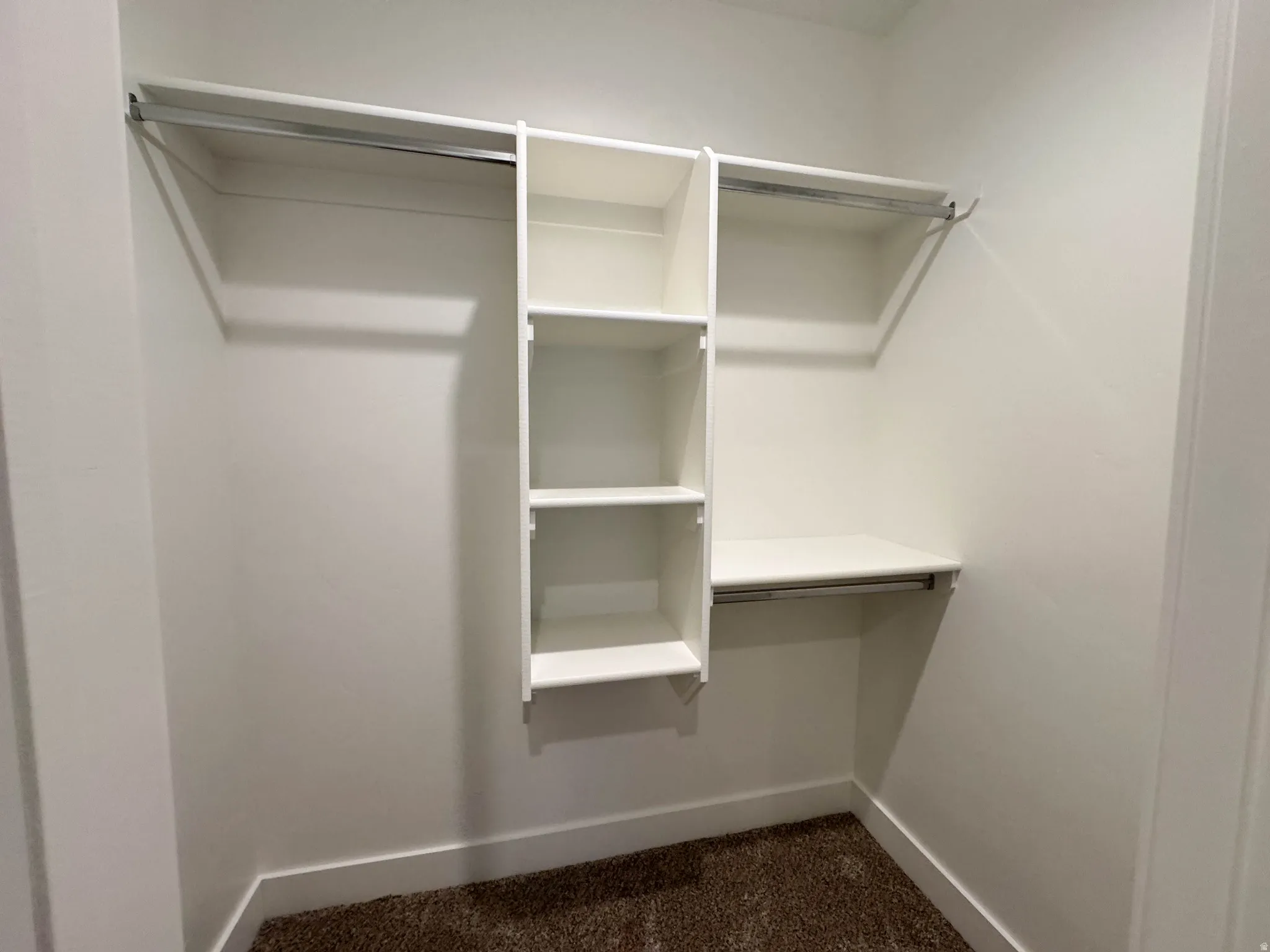 White closet system featuring open shelving and multiple clothing rods over textured brown carpeting