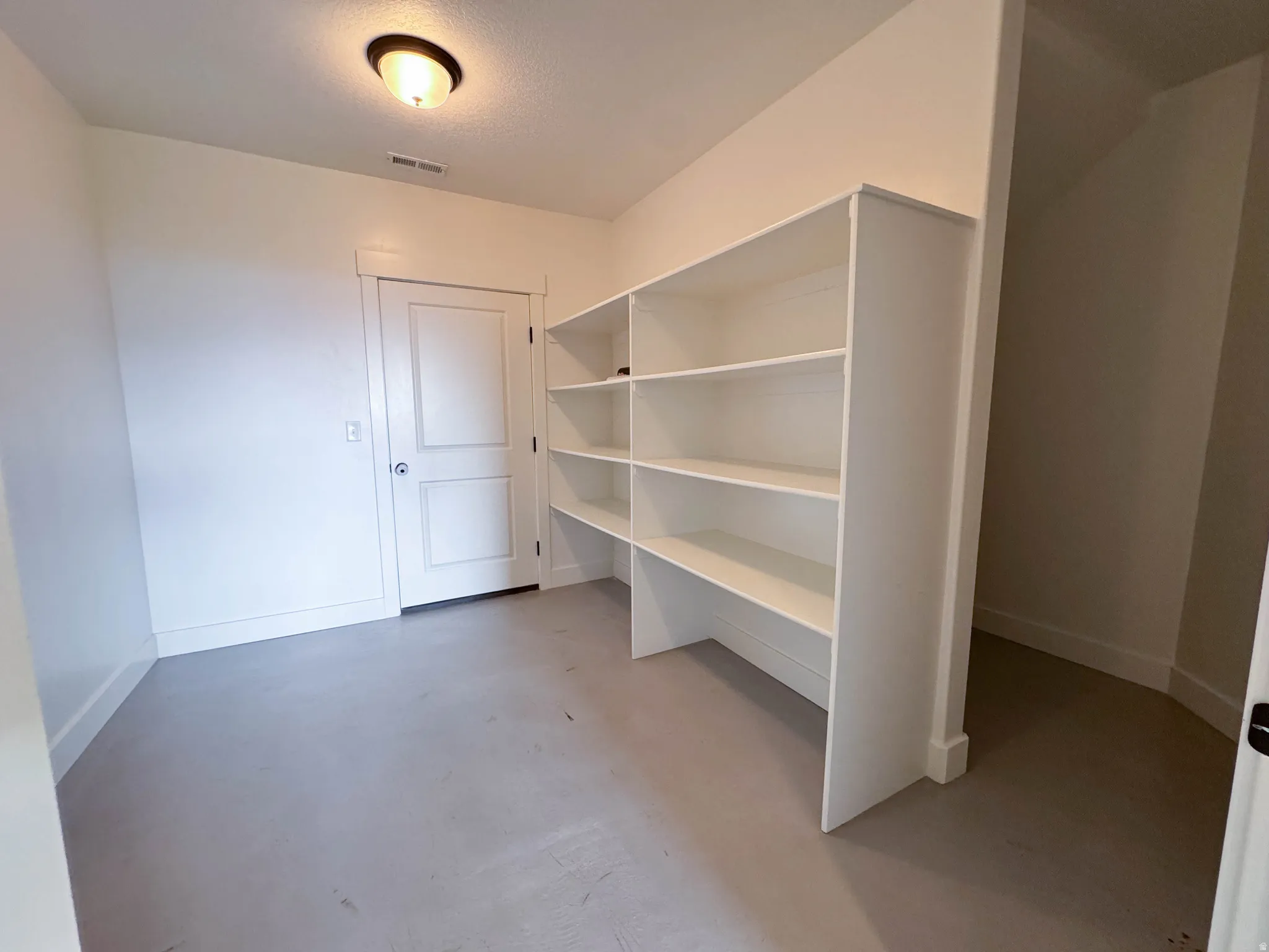 Dedicated storage room featuring extensive built-in shelving, a neutral color palette, and a flush-mount ceiling light fixture