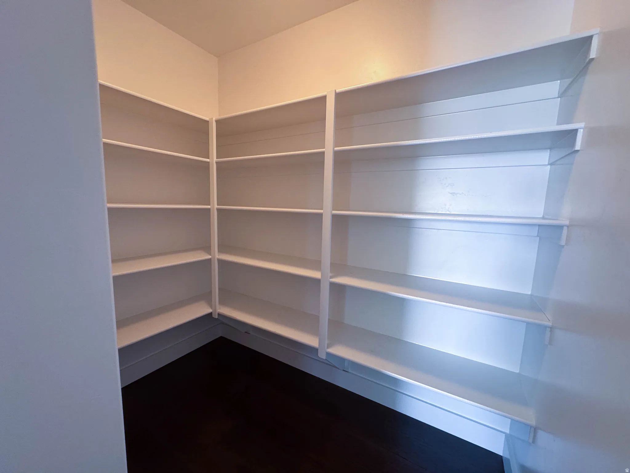 Walk-in pantry featuring extensive white shelving along three walls, dark wood-finish flooring, and light-toned walls