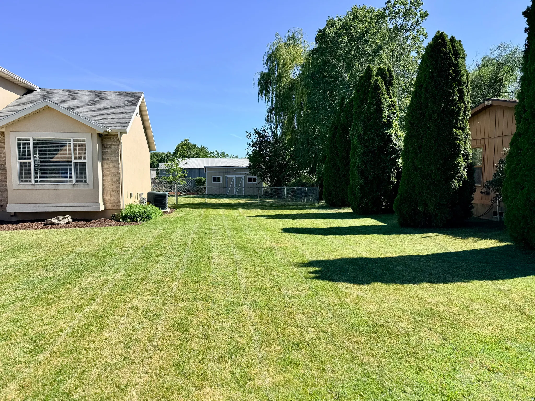 Expansive backyard featuring a manicured lawn, a detached storage shed, mature evergreen trees, a chain-link fence, and a beige exterior