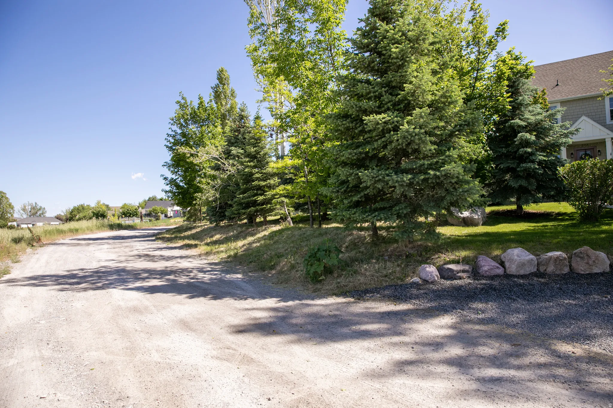 Gravel driveway leading to a residence featuring a siding exterior, gabled roofline, and mature evergreen trees