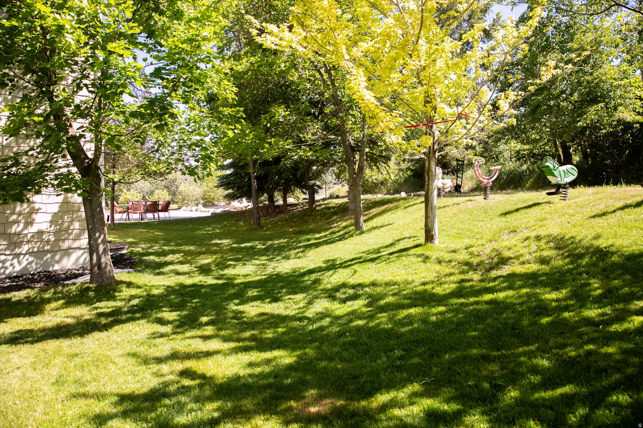 Expansive green lawn with mature trees providing dappled shade
