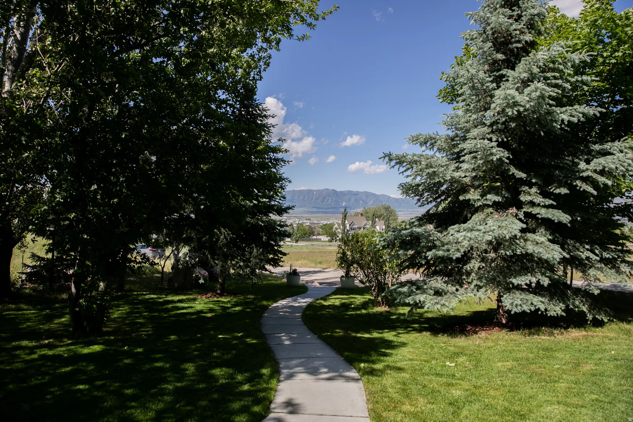 Expansive lawn featuring a curving concrete pathway and mature trees