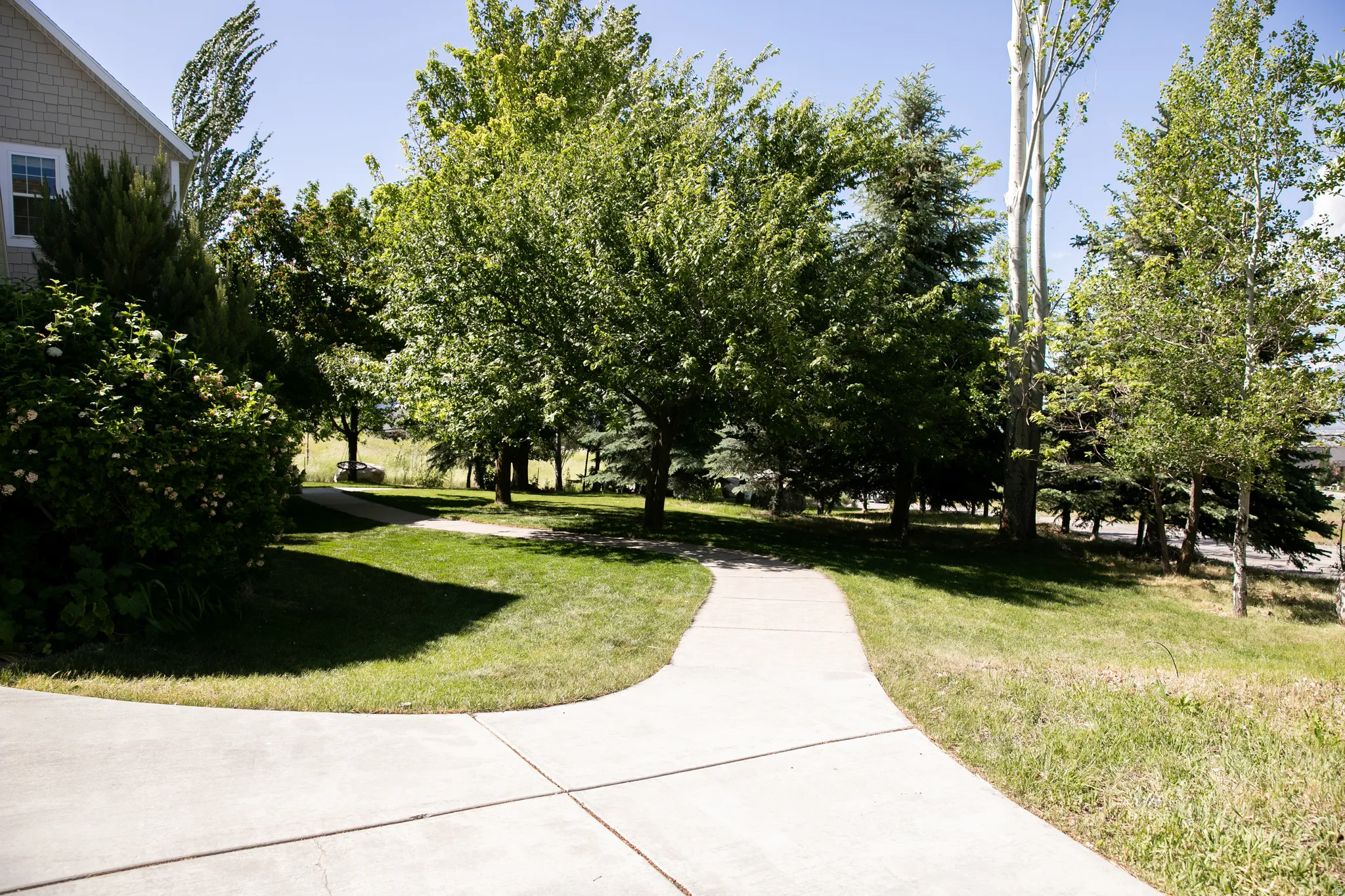 Curved concrete pathway set within a landscaped yard featuring mature trees and established shrubs