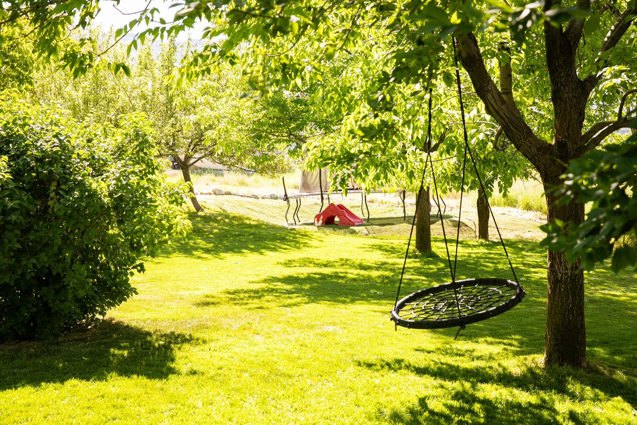 Expansive green lawn with mature trees providing dappled shade