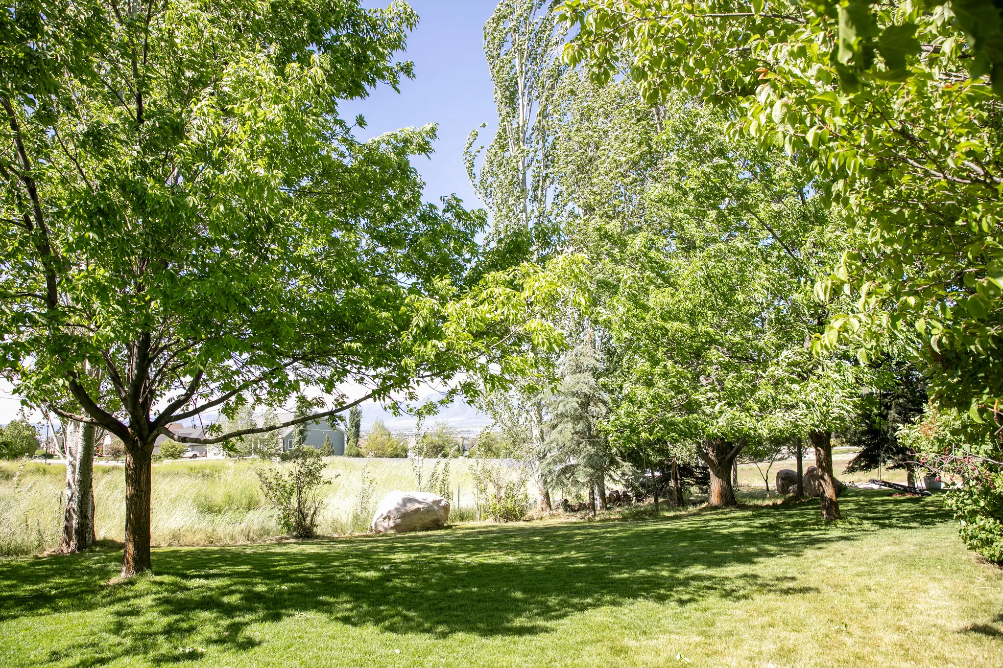 Expansive green lawn with mature trees providing dappled sunlight