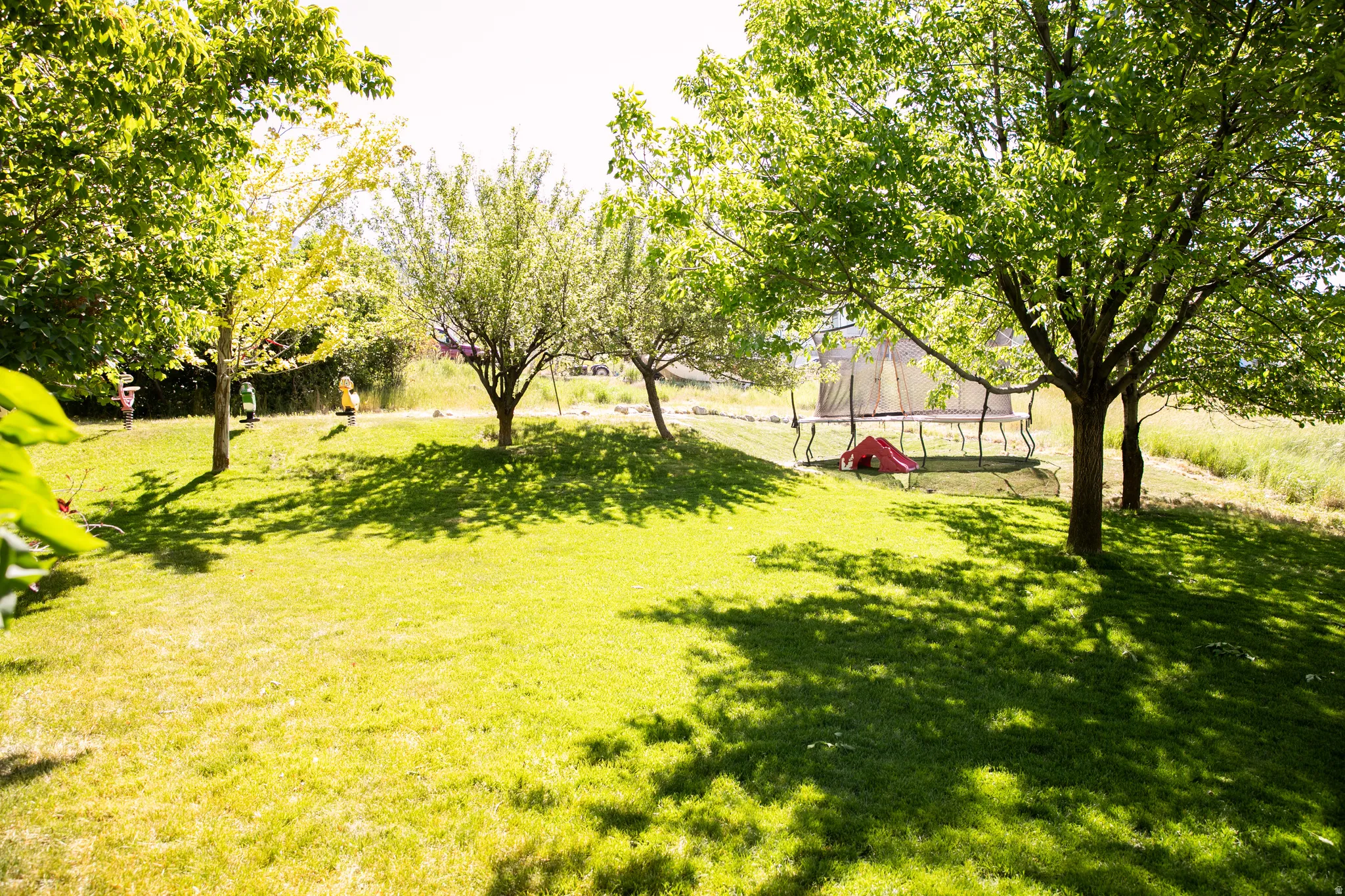 Expansive grassy backyard featuring a gentle slope, mature deciduous trees, and natural vegetation at the perimeter