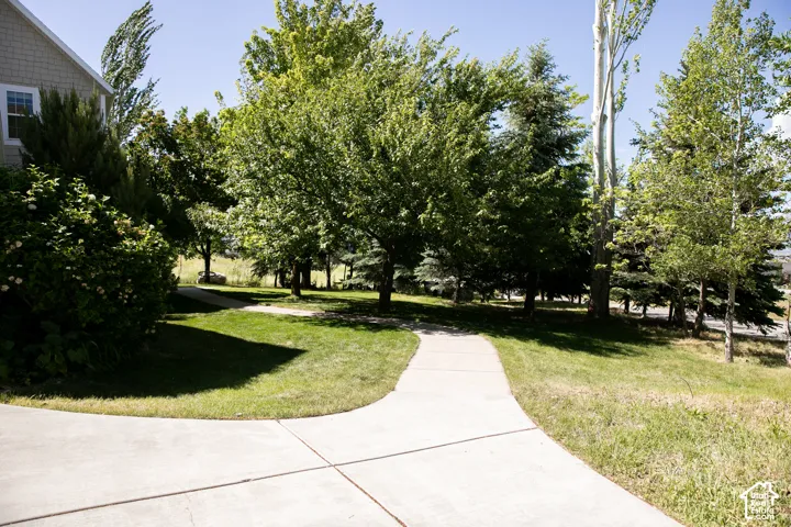Curved concrete pathway set within a landscaped yard featuring mature trees and established shrubs