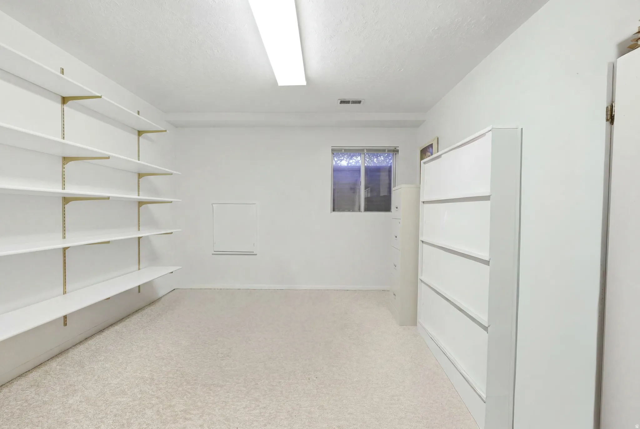 Spacious room featuring extensive wall-mounted shelving, white painted walls, and light-colored carpet flooring