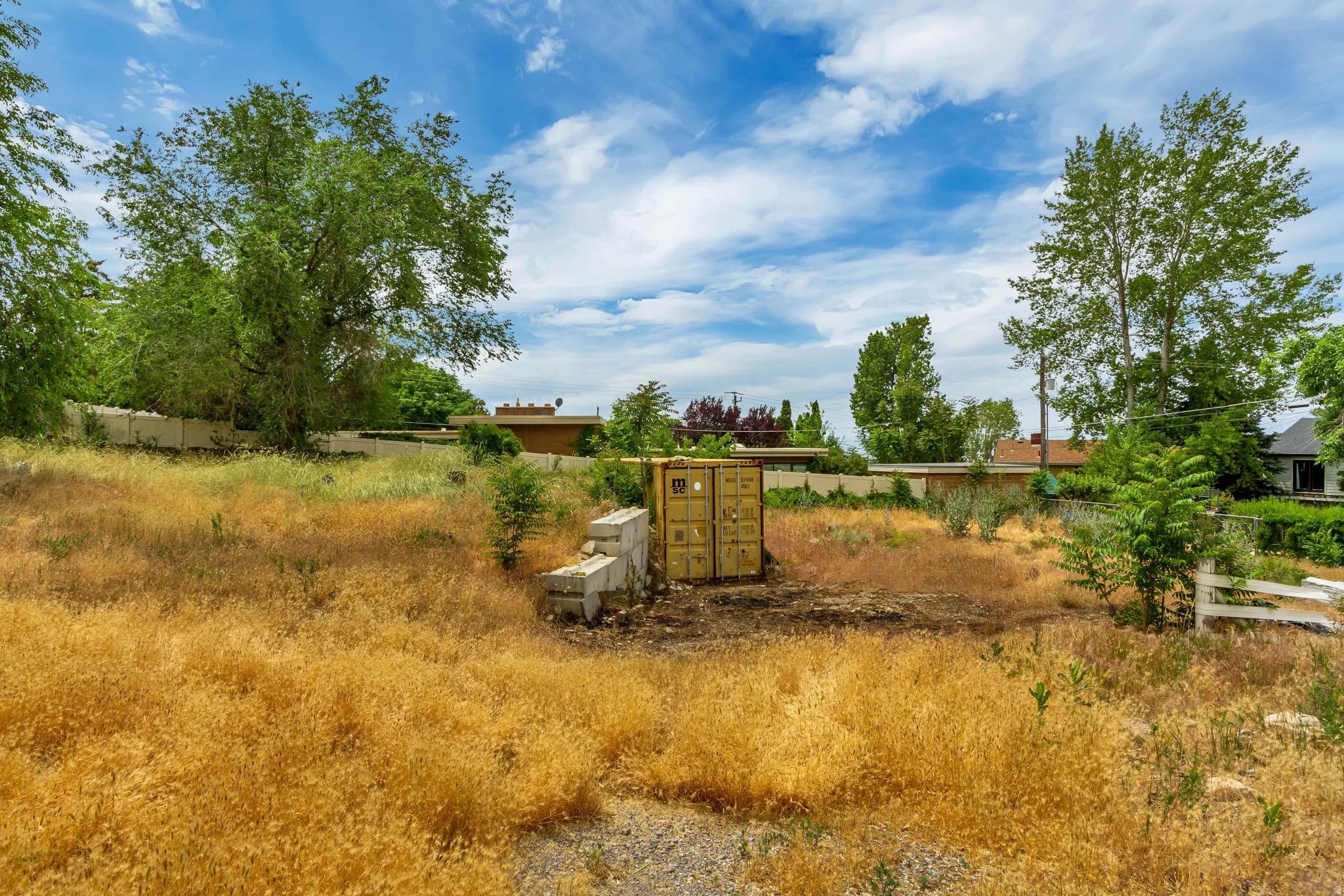 More of the 1+ acre lot