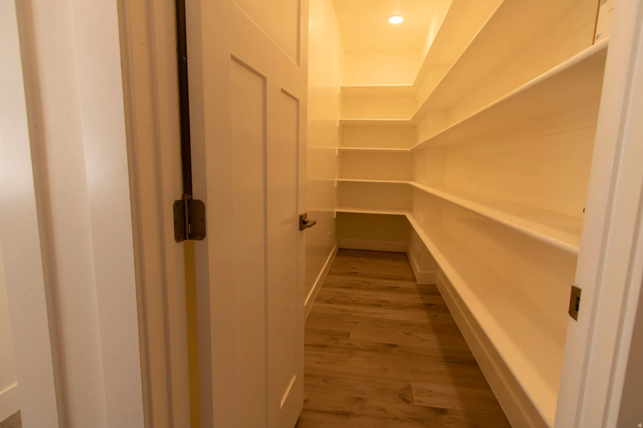 Walk-in pantry featuring extensive built-in shelving, wood-finish flooring, and recessed ceiling lighting