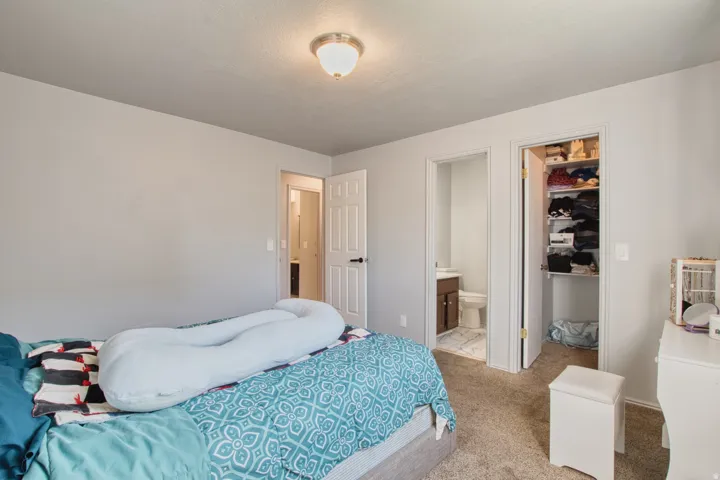 Carpeted bedroom with neutral wall tones and a ceiling-mounted light fixture