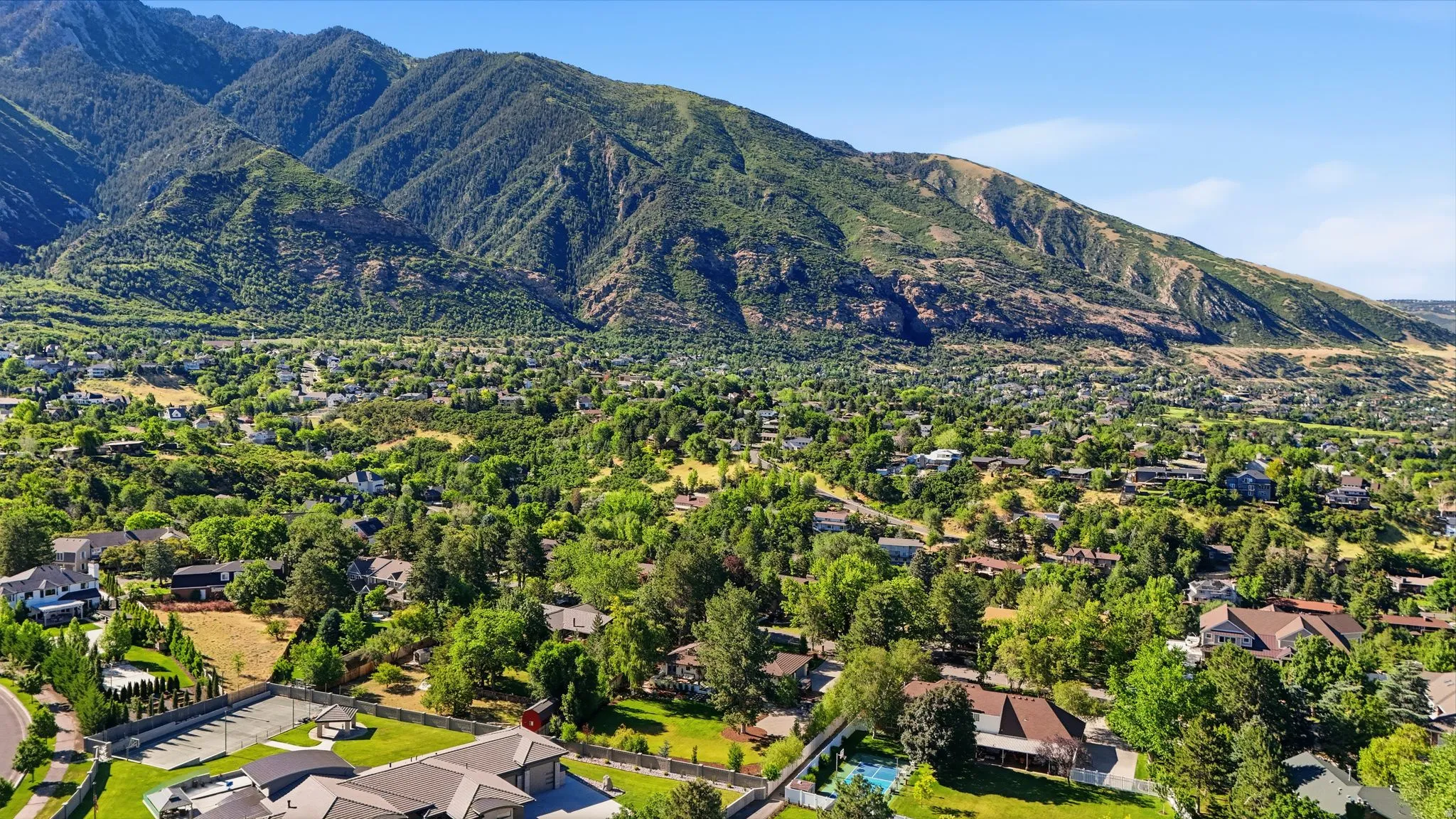 Expansive mountain backdrop with a residential area featuring numerous mature trees and substantial properties