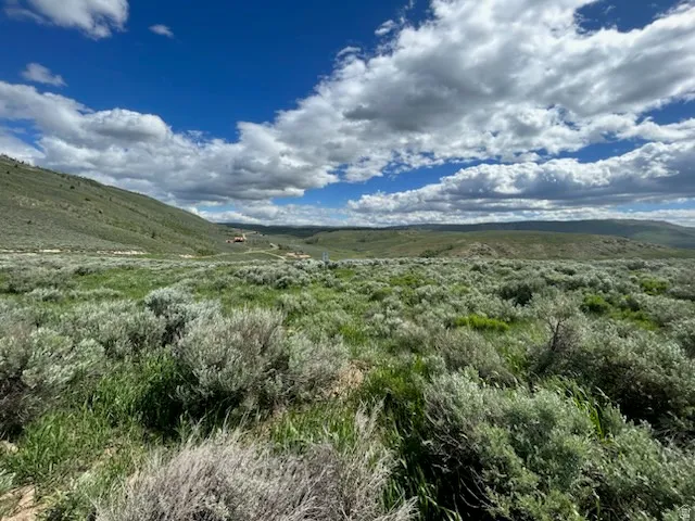 Expansive natural landscape featuring rolling hills and abundant sagebrush