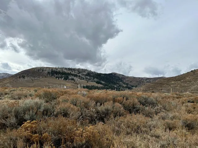 Expansive natural landscape featuring varied brush and distant hills