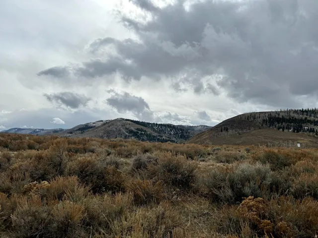Expansive mountain landscape featuring varied shrub vegetation and distant tree lines