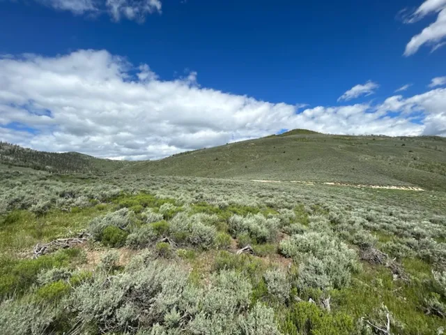 Expansive open land with rolling green hills and natural shrubbery