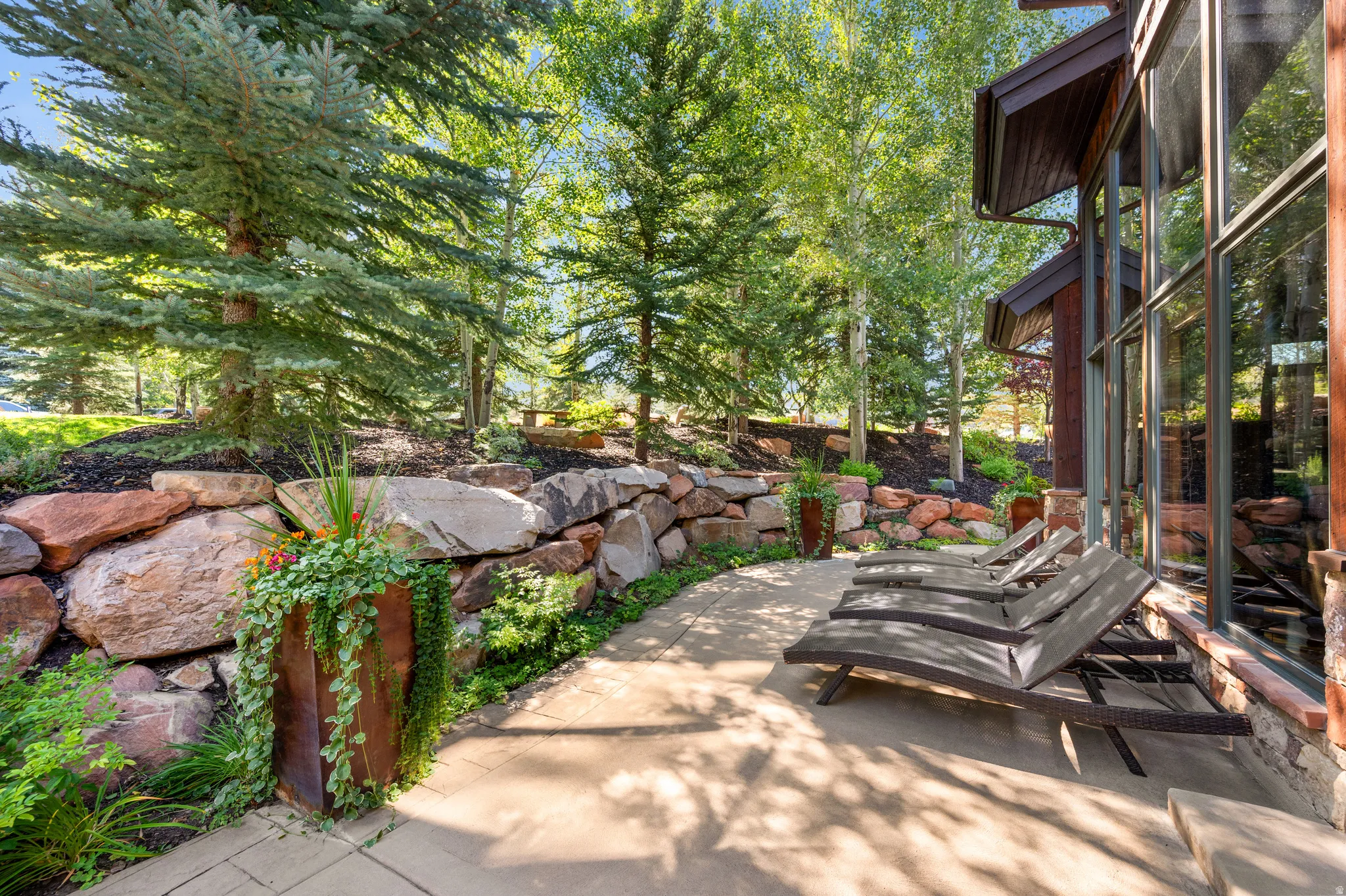 View of patio