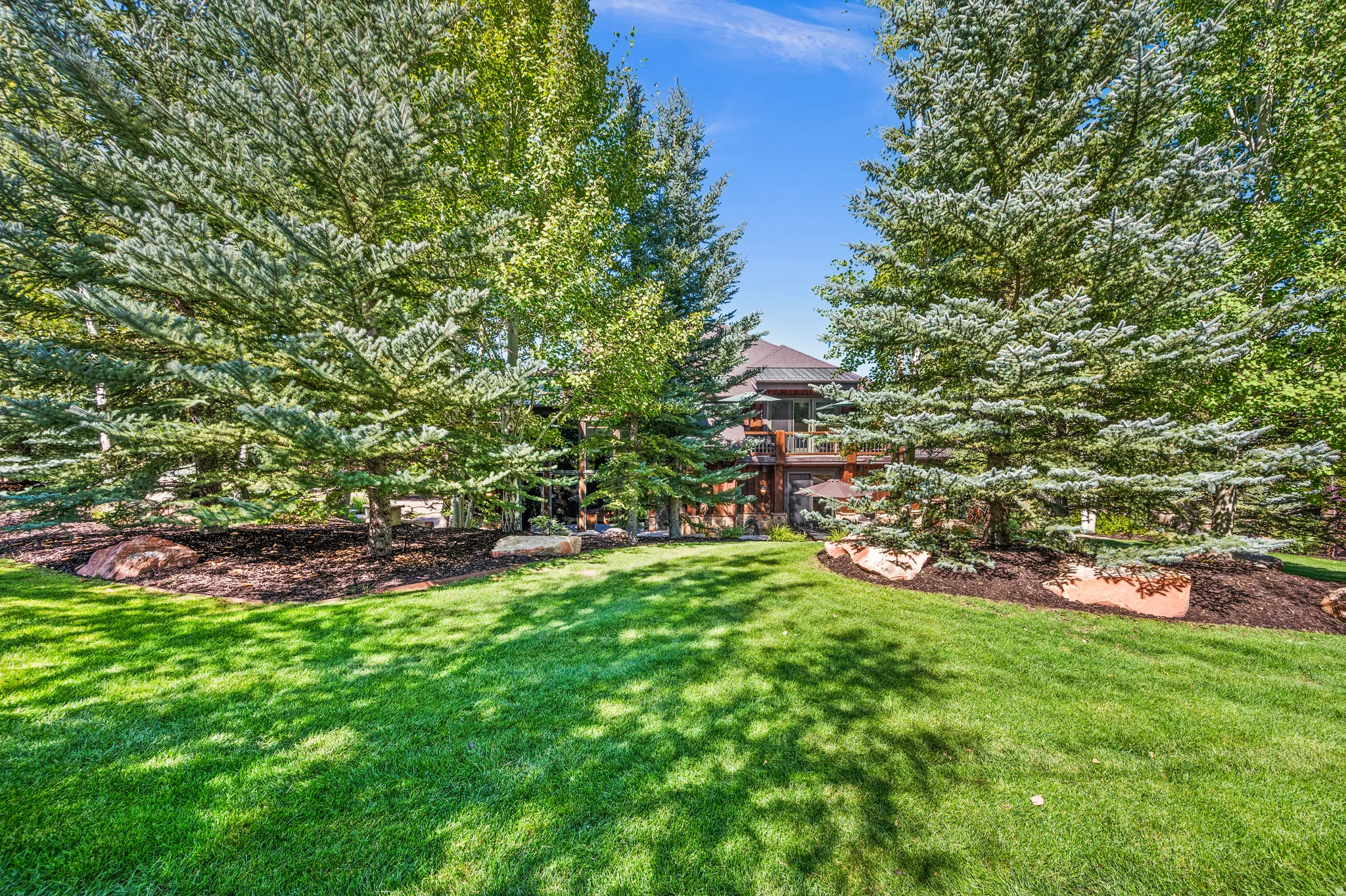 View of grassy yard