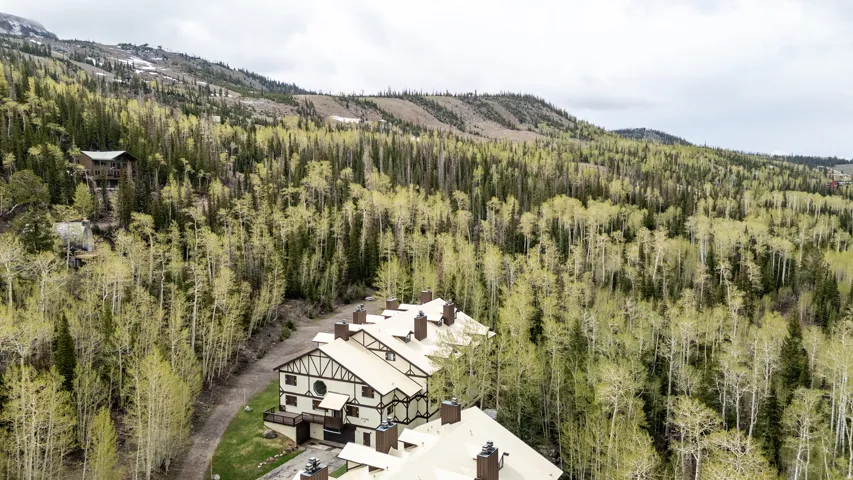 102 S Alpine Ln #b5, Brian Head, Utah 84719