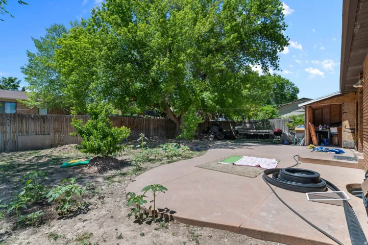 Spacious backyard featuring a large mature tree, a privacy fence, a concrete patio, and a utility shed