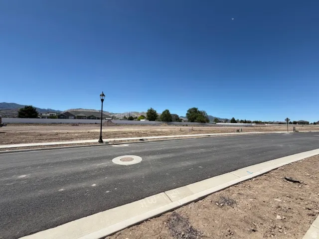 Paved street featuring a street light, concrete sidewalk, and graded lot